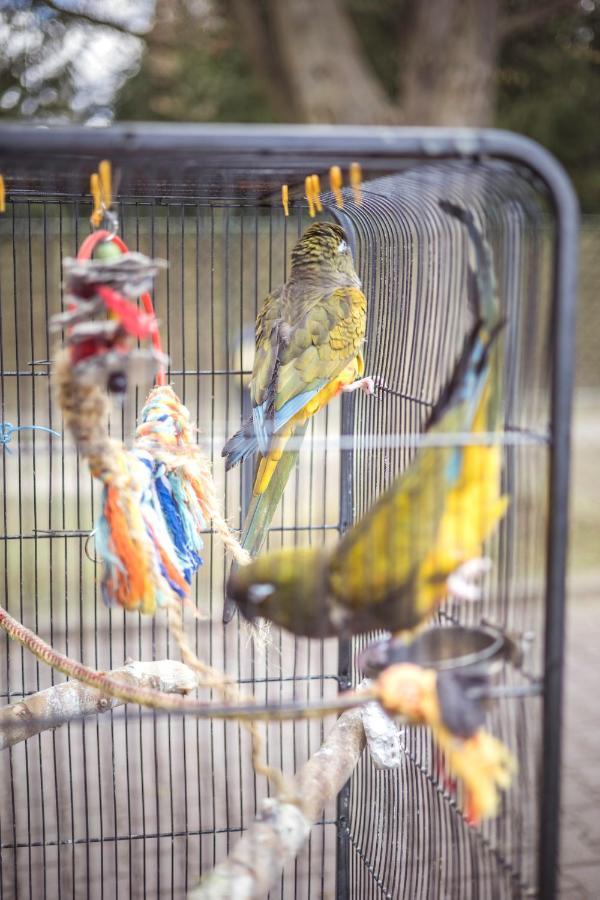 4 Couples & 4 Friends Hostel クラクフ エクステリア 写真